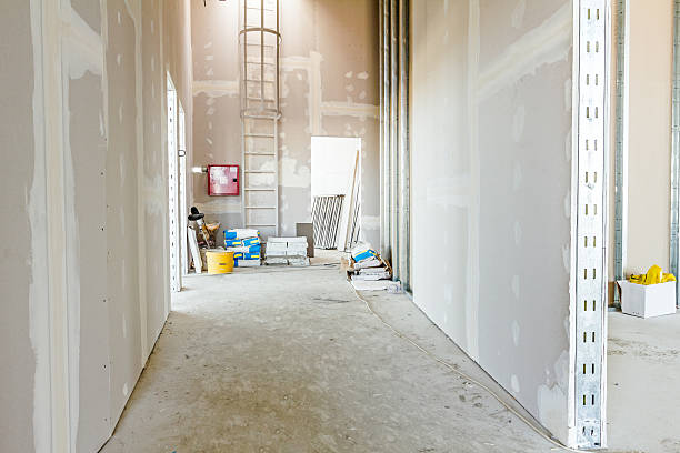 Fort Hood, TX Mold Removal Company